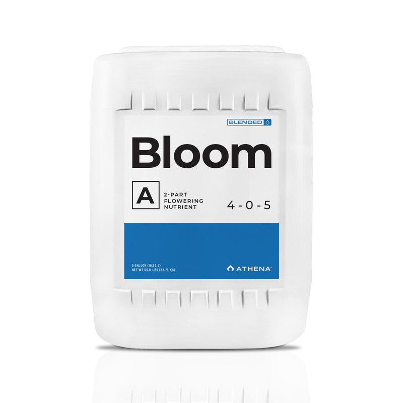 Bloom A