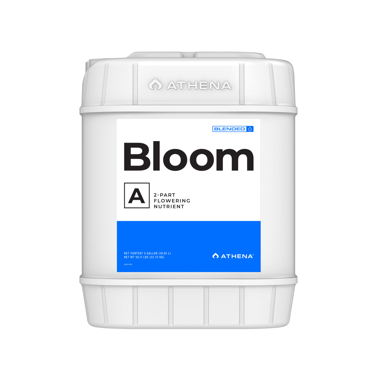 Bloom A