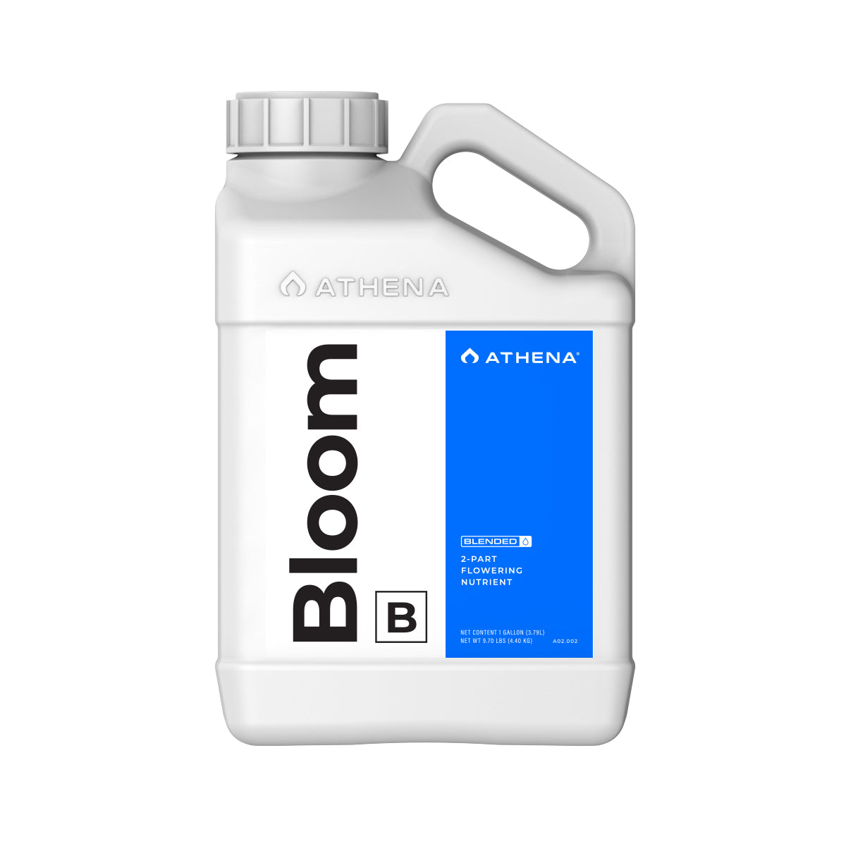 Bloom B