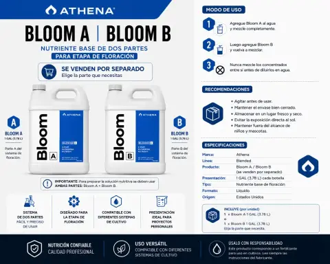 Athena Bloom A 1GAL 2