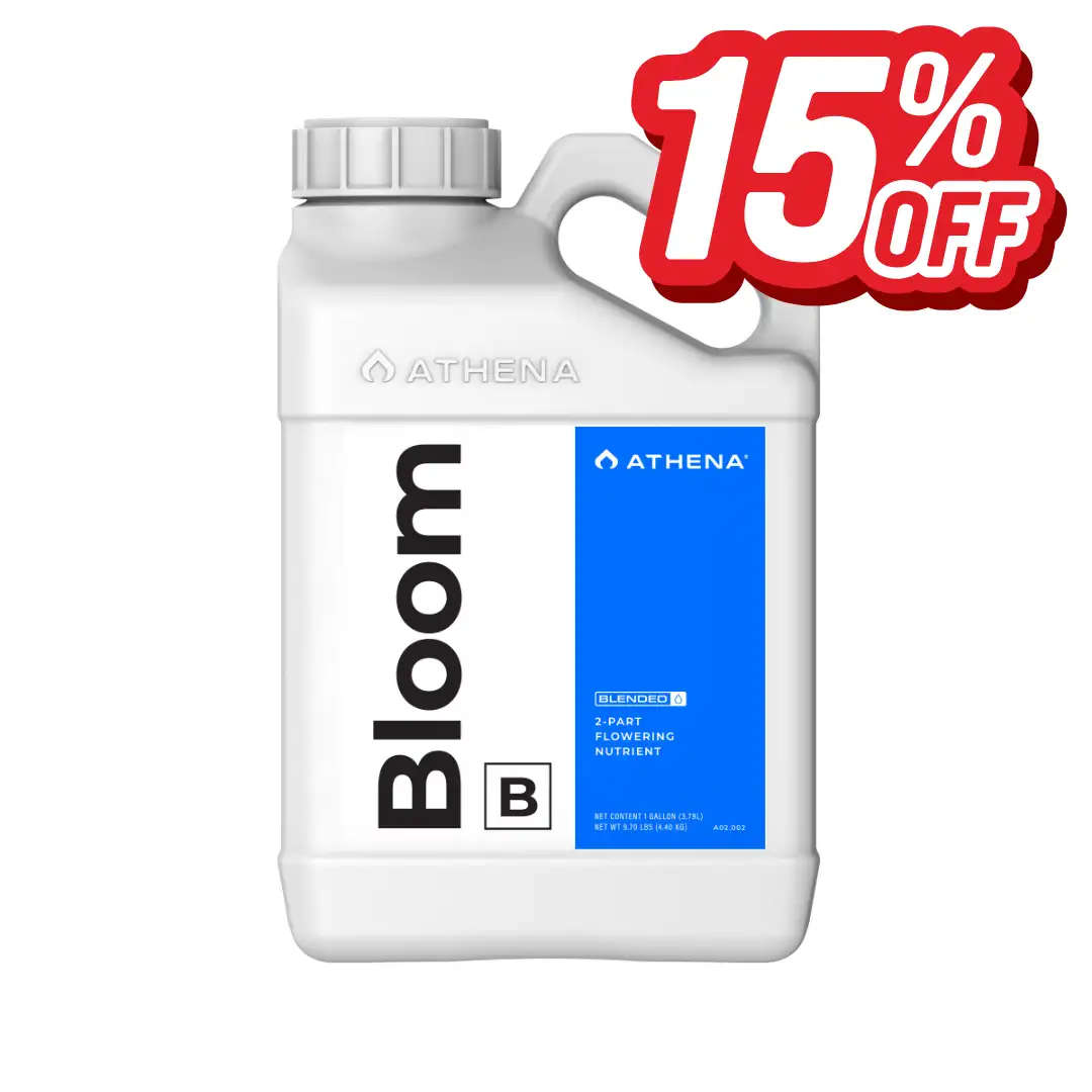 Athena Bloom B 1GAL