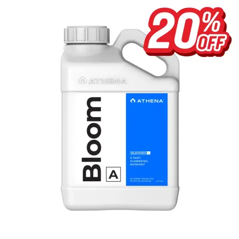 Athena Bloom A 1GAL