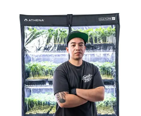 Athena VPDome 4