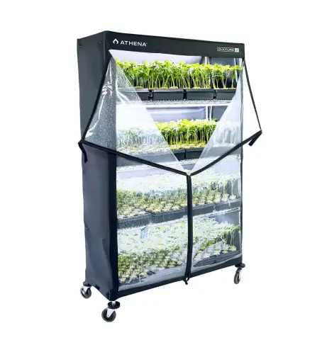 Athena VPDome 1