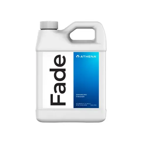 Athena Fade 32OZ 2