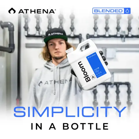 Athena Blended Line Starter Kit 32 oz 6